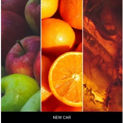 Mr & Mrs Fragrance Zapach do samochodu Cesare New Car 1szt.